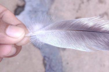 Übergabe der Federführung bei Fair Coachings