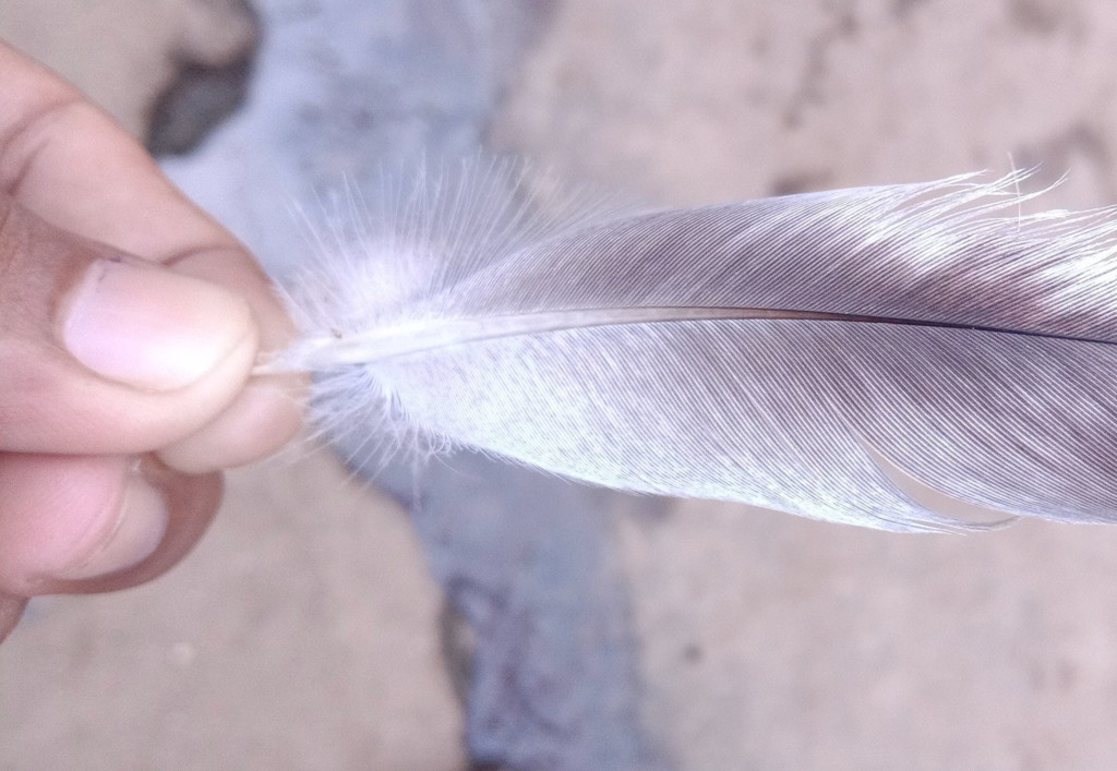 Übergabe der Federführung bei Fair Coachings